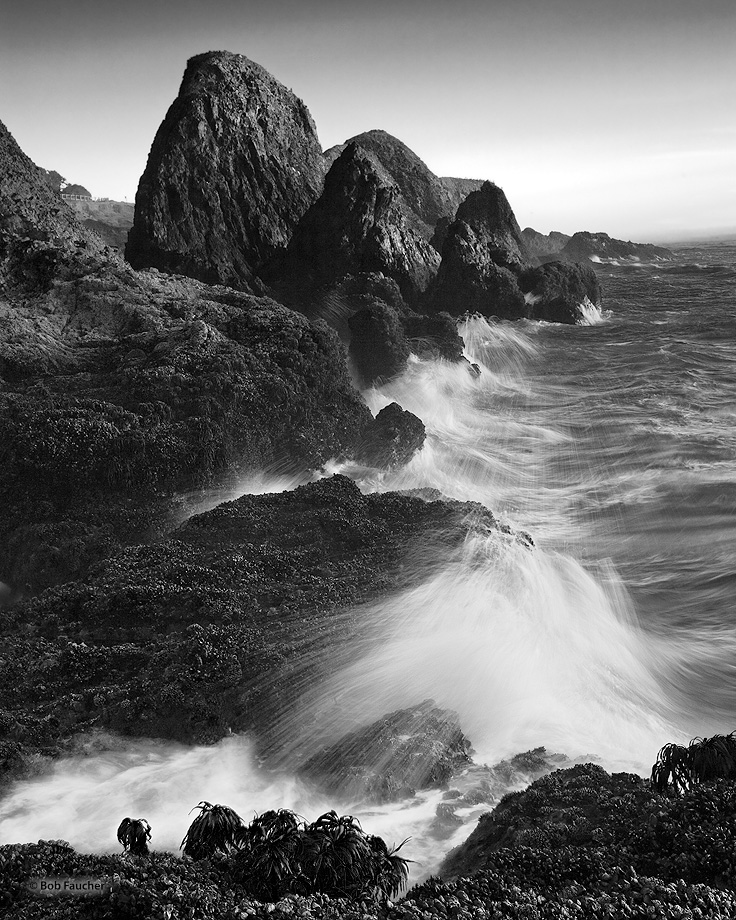 Relentless | Seal Rocks | Robert Faucher Photography